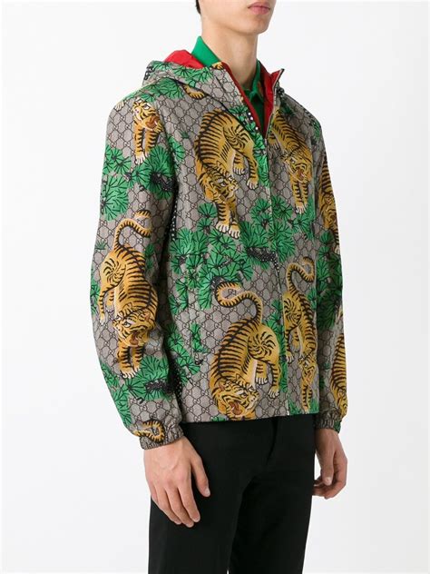veste gucci tigre homme